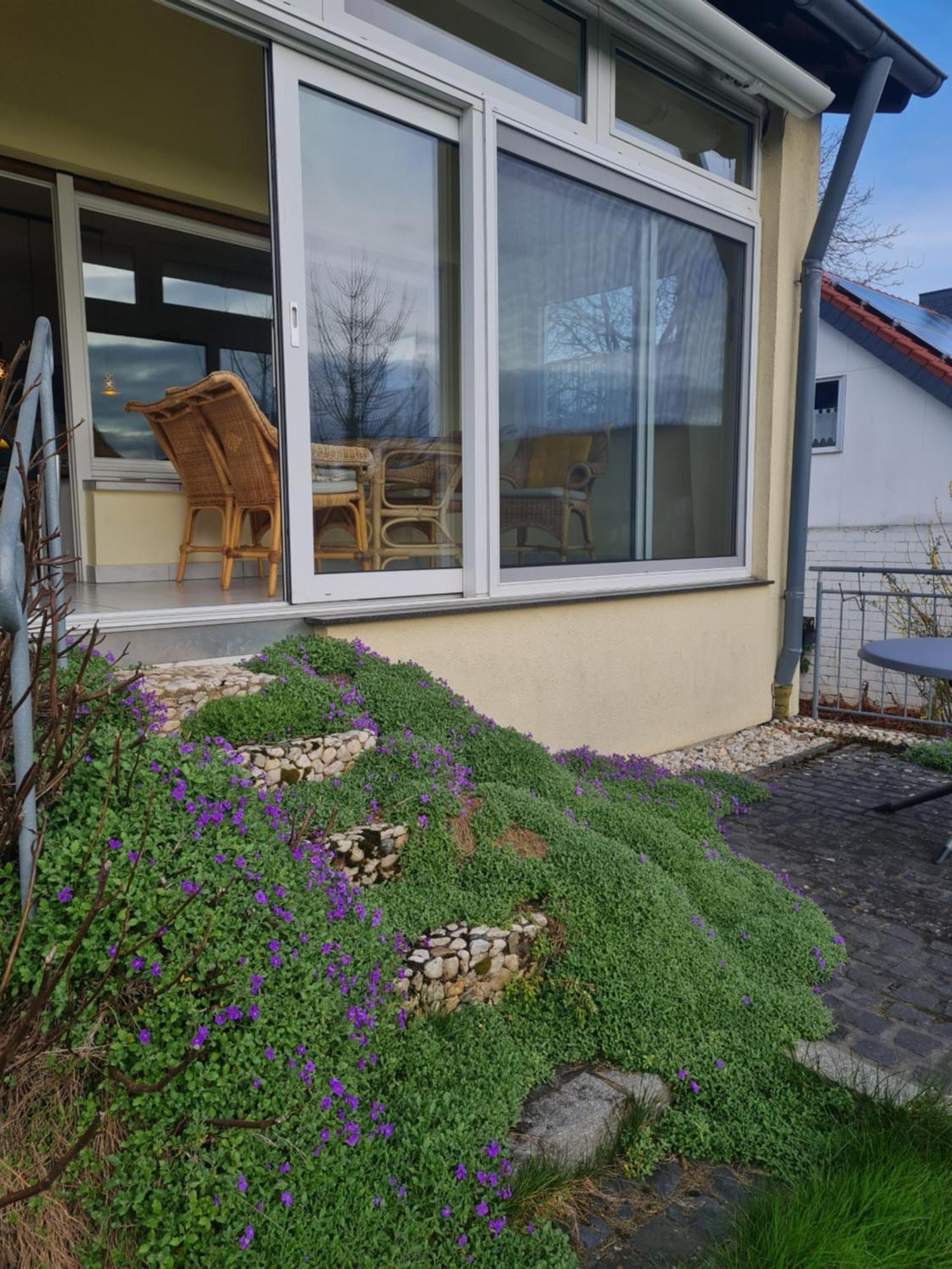 Ferienwohnung Im Rurtal Kreuzau Zewnętrze zdjęcie