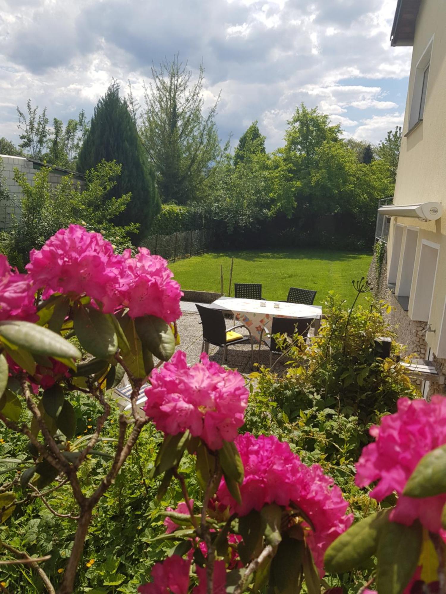 Ferienwohnung Im Rurtal Kreuzau Zewnętrze zdjęcie