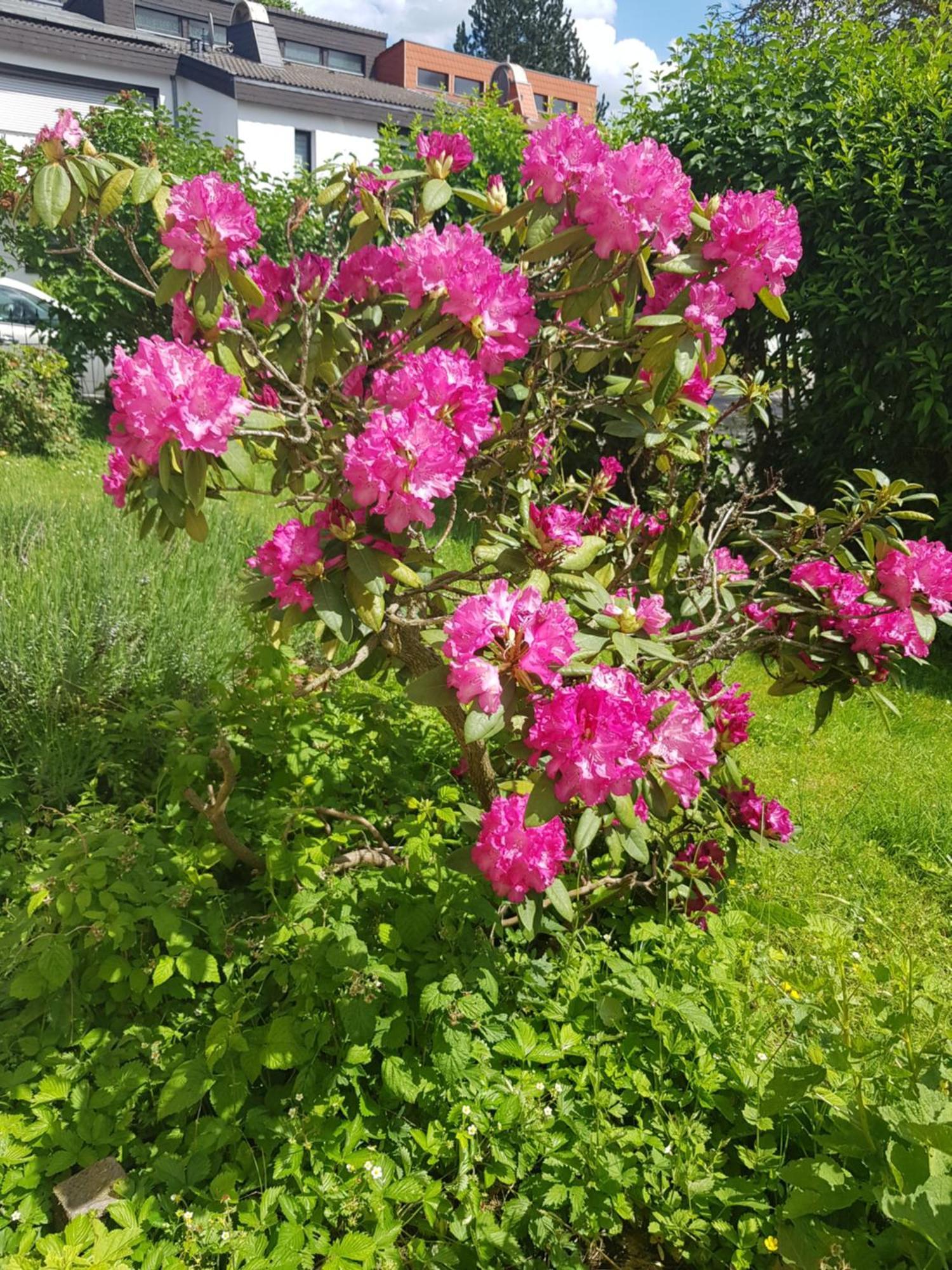 Ferienwohnung Im Rurtal Kreuzau Zewnętrze zdjęcie